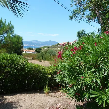 A Pineta