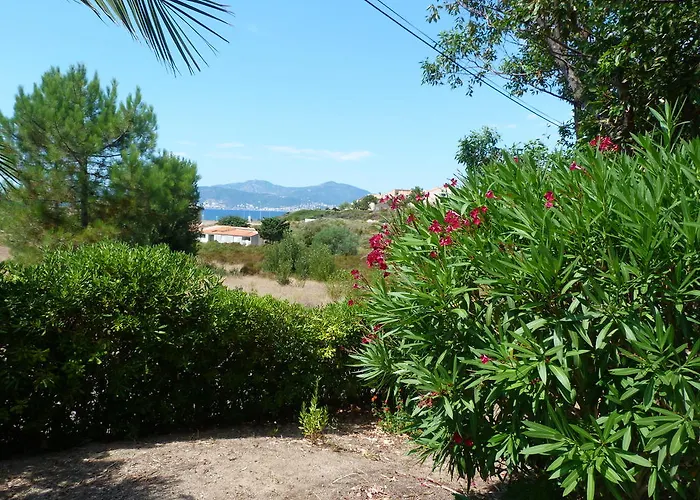 A Pineta
