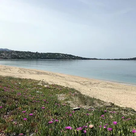 A Pineta Porticcio (Corsica)