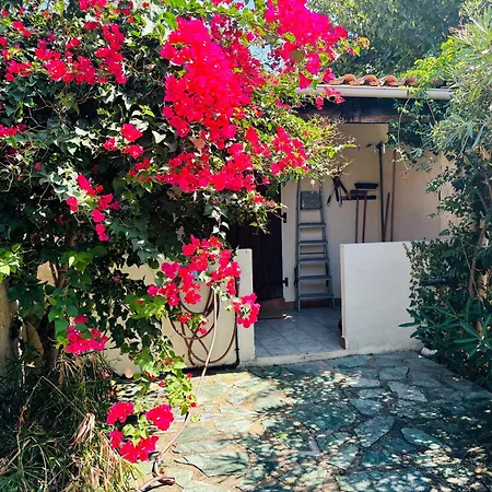 A Pineta Porticcio (Corsica)