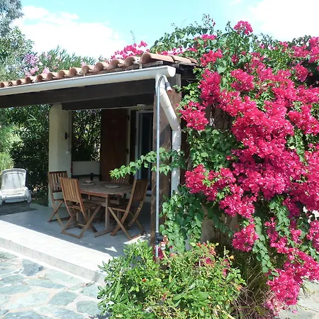 Vakantiehuis A Pineta