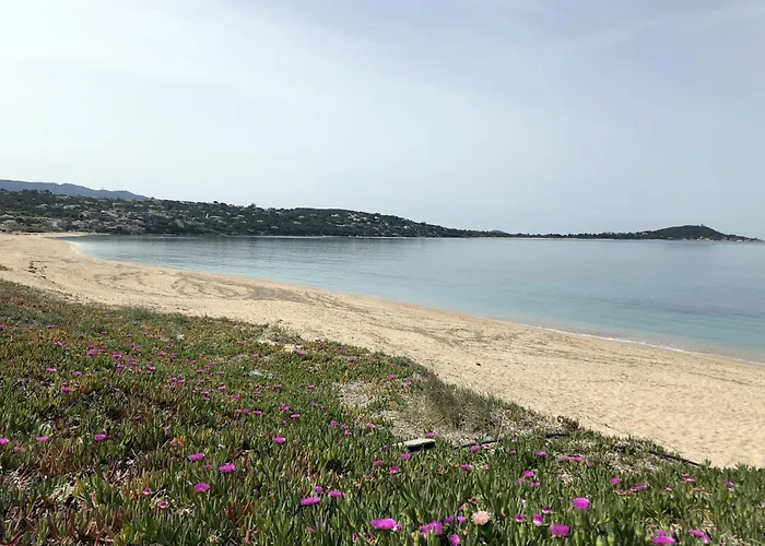 A Pineta Porticcio (Corsica)