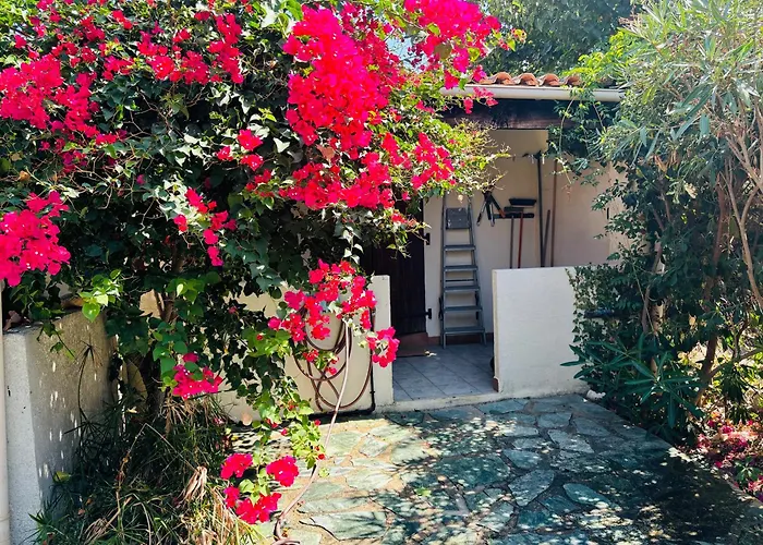 A Pineta Porticcio (Corsica)